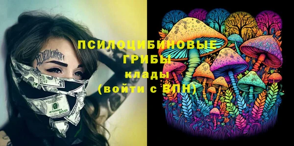 винт Михайлов