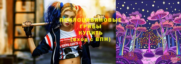 ECSTASY Михайловск