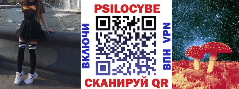 Псилоцибиновые грибы мицелий  где купить   даркнет официальный сайт  Сураж 